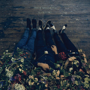 Baltimore cover