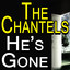 He's Gone cover
