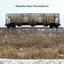 Roustabout cover
