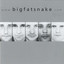 www.bigfatsnake.com Albumcover