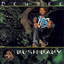 Bush Baby cover