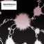 Black Hole / Blank Canvas cover