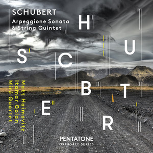 Schubert: Arpeggione Sonata in A Minor, D. 821 & String Quintet in C Major, Op. 163, D. 956 album