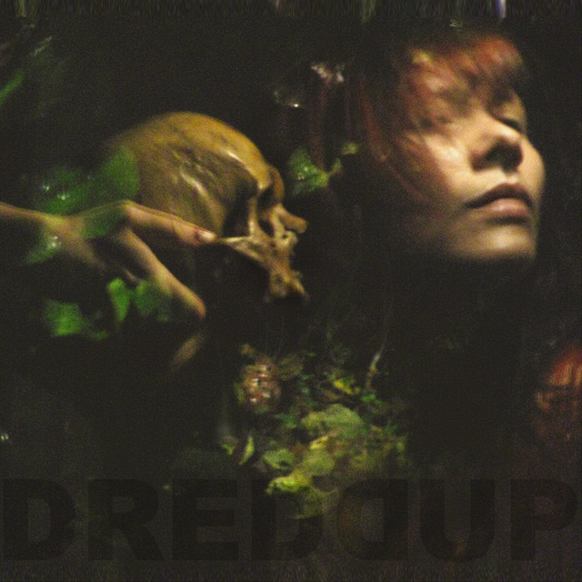 Dreddup cover