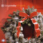 Snowflake Christmas Series