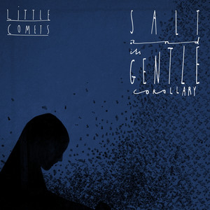 Salt and Its Gentle Corollary cover