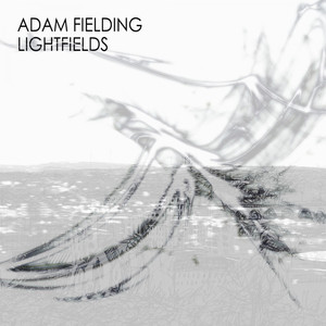 Lightfields cover