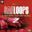 Sagloops Volume 2 - The Ultimate Bhangra Break Beats For The DJ cover