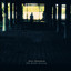 The Night Visitor Albumcover