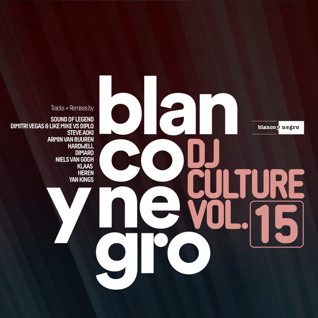Blanco Y Negro Music DJ Culture, Vol. 15