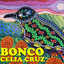 Bonco cover
