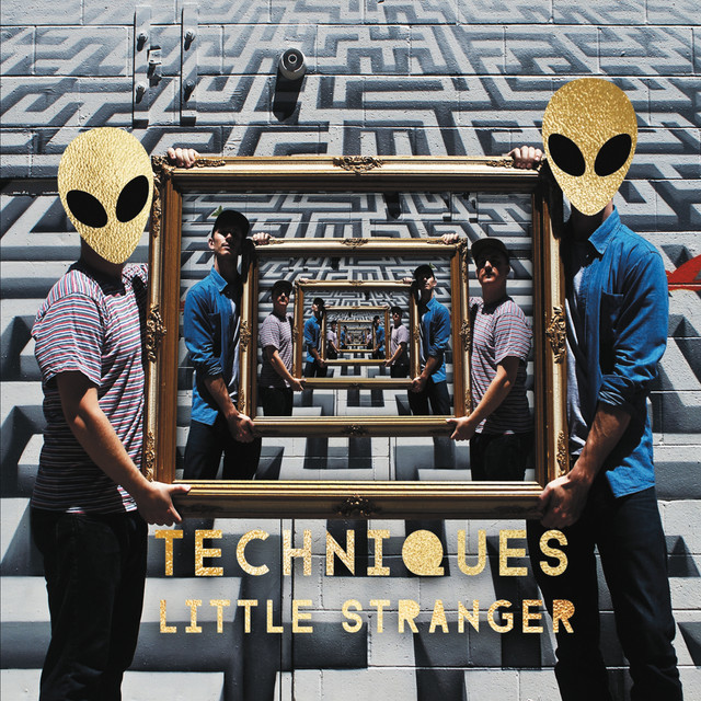 Techniques cover