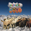 Alopecia cover
