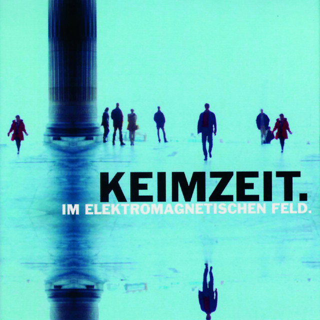 Im Elektromagnetischen Feld cover