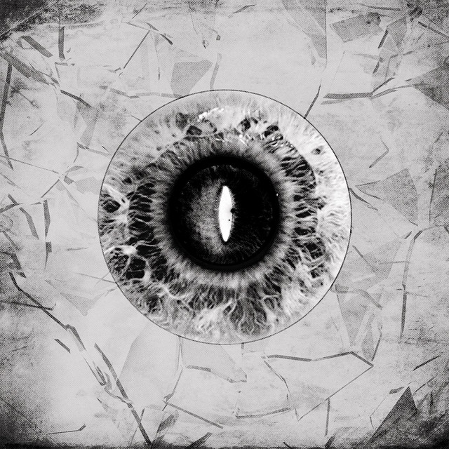 Illusive Landscape Of Expression cover
