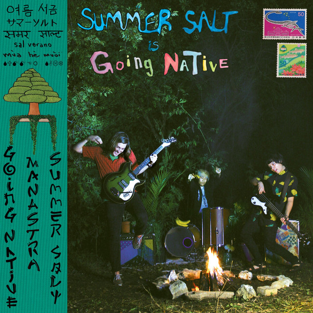 Going Native cover