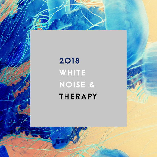 2018 White Noise & Therapy