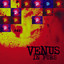 Red cover