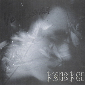 Transition cover