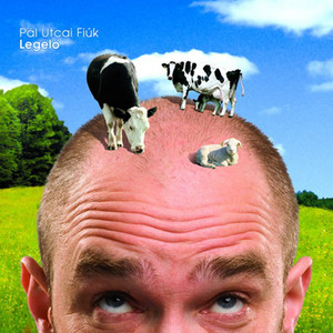 Legelő cover