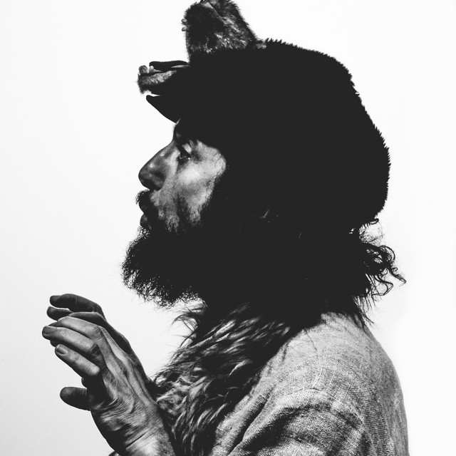 Vinicio Capossela photo