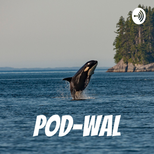 Pod-WAL🐋 | Podcast on Spotify