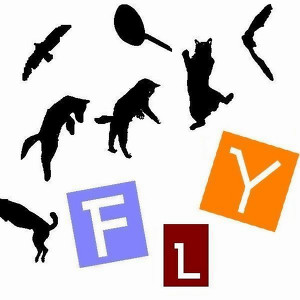 Dai　Yokoo / 横尾大