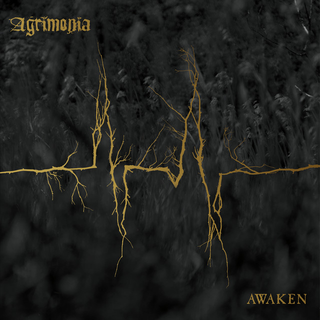 Awaken cover