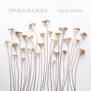 Equilibrium album