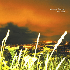 Amongst Strangers cover