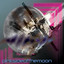 Pinksideofthemoon Albumcover