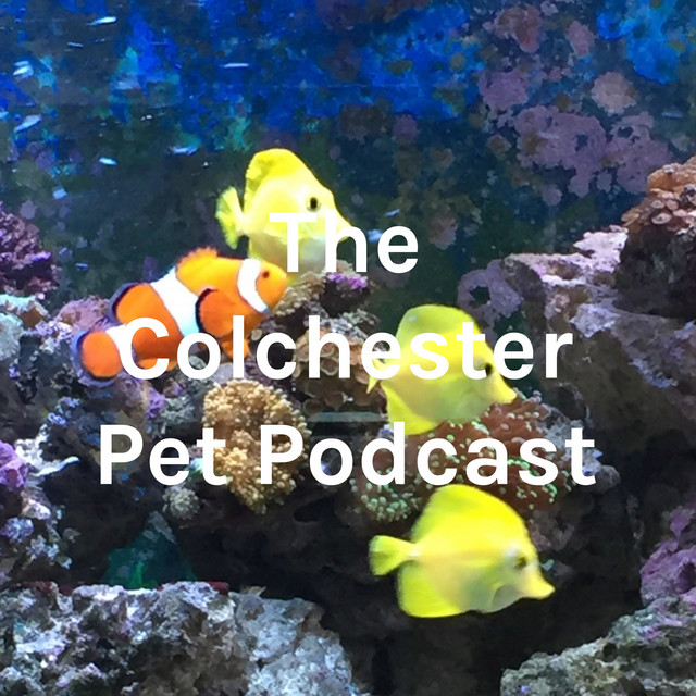 Fish R Friends Podcast | Podcast on Spotify