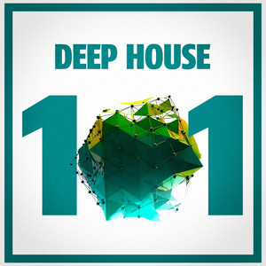 Deep House 101 album