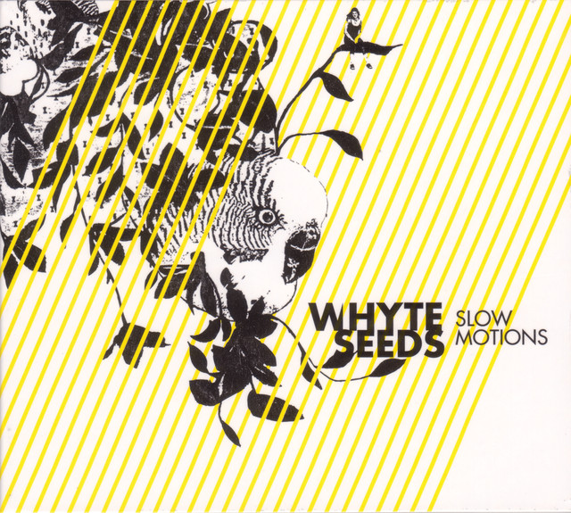 Whyte Seeds Photo