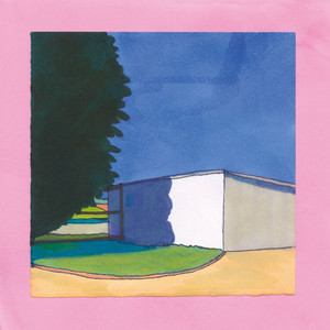 Nights cover