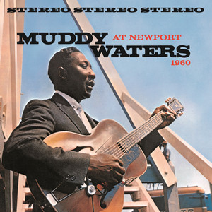 Muddy Waters at Newport/Muddy Waters Live album