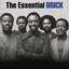 The Essential Brick cover