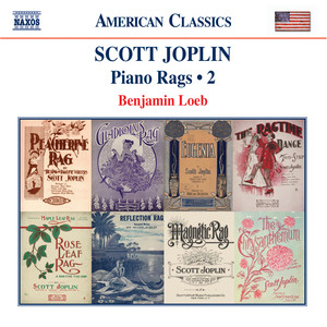 Joplin: Piano Rags, Vol. 2 cover