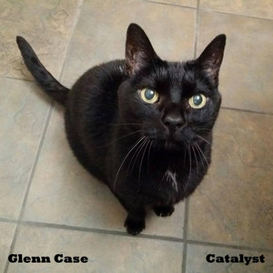 Catalyst cover