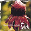 Torch Albumcover