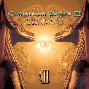 Consortium Project III