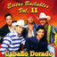 Exitos Bailables cover
