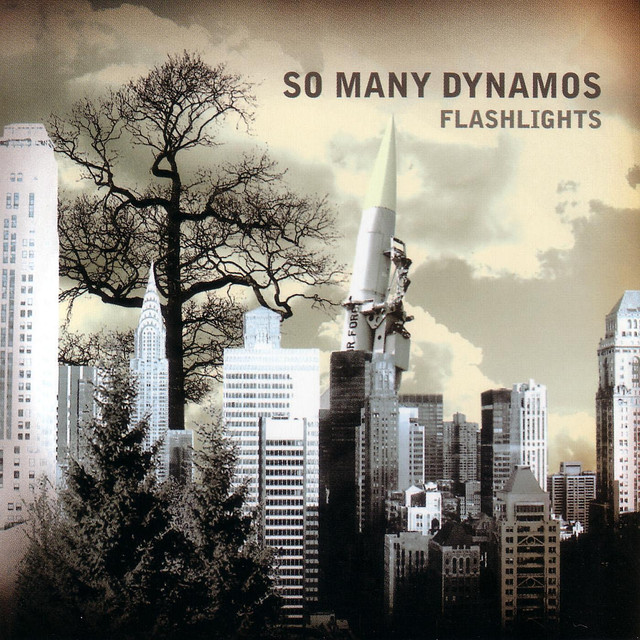 Flashlights cover