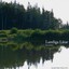 Lantliga låtar Albumcover