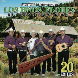 20 Exitos cover