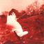 Dig cover