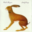 Lookaftering cover