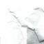 Identity Papers Albumcover