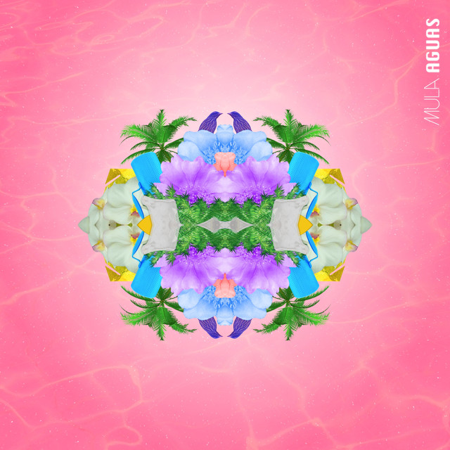 Resultado de imagen para mula pocion spotify