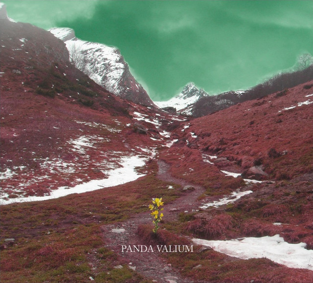 Panda Valium Photo